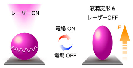 液滴の変形によるレーザースイッチングの模式図（原著論文より引用、改変）液滴に電場（E）を印加すると、その電場に沿って球体が楕円球体に変形し、レーザー光の放出が止まる