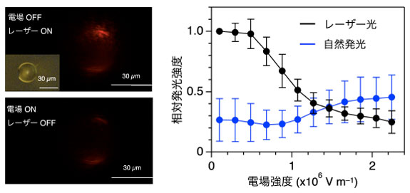 電場印加によるレーザー光の変化（原著論文より引用、改変）電場を印加する前後の液滴の写真（左）。電場を印加すると赤色のレーザー発光が弱まり、自然発光注が強くなることが、測定データ（右）からも示された