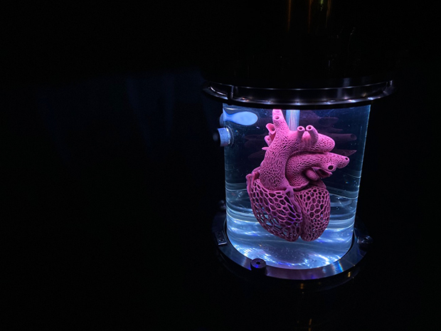 エイミー・カール「進化の核心？」：3Dプリンターで制作された心臓は、新しい血管構造を提案するもので、従来の心臓機能を改善するデザインになっている。
