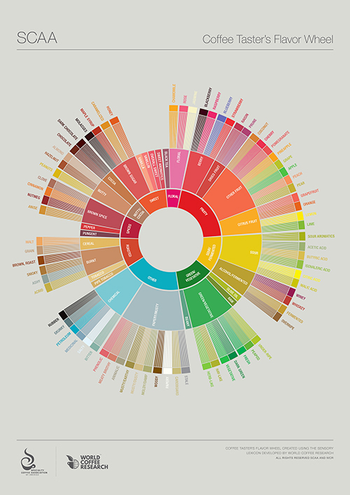米国スペシャルティコーヒー協会が定めたコーヒーのフレーバーを分類した図「Flavor wheel」。右上のフルーツのカテゴリーだけでもラズベリー、ブルベリー、チェリー、ざくろなど14種類の細かなフレーバーがある