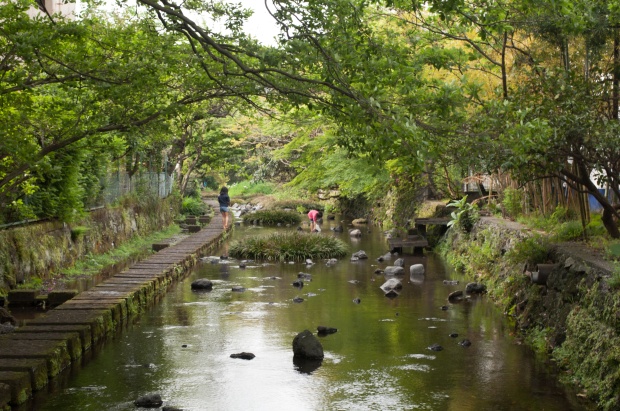 ちなみに三島市は湧き水が有名で、川の上に遊歩道がある源兵衛川や柿田川湧水群などの観光スポットもたくさんある。ワークショップとあわせて観光してみるのもオススメです。（写真は取材とは別の日に筆者が個人的に三島に行った時に撮影した源兵衛川）