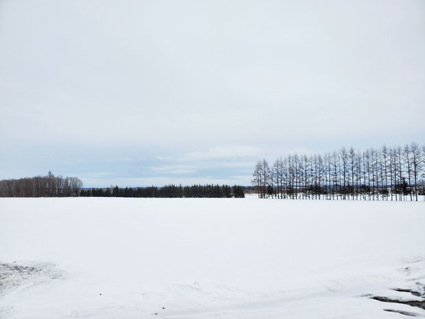 写真3.雪の大崎農場（2023年3月）