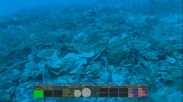 2017年5月、Webカメラに交換して石垣島のサンゴ礁を調査した時の映像。
