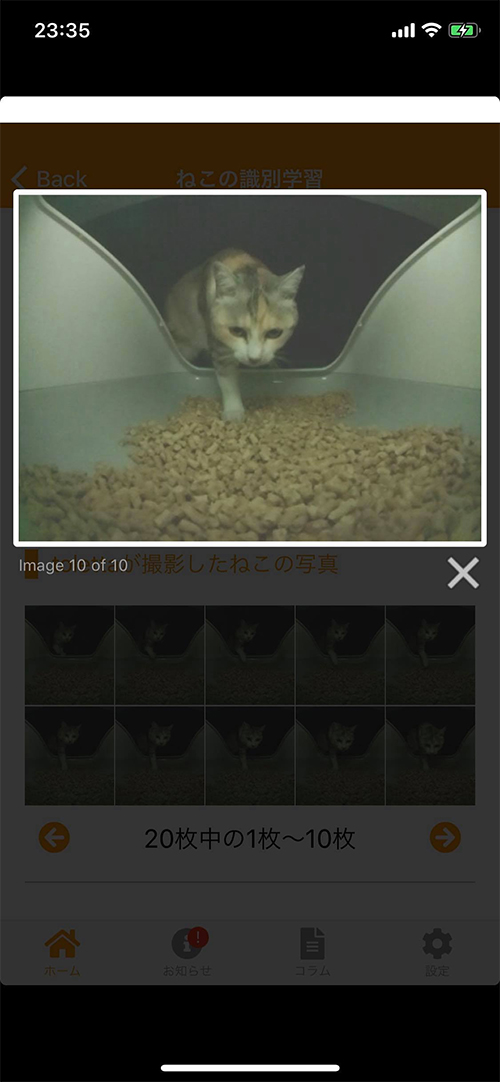 カメラからスマートフォンに送られた画像。トイレに入るとき、猫は下を向いている。