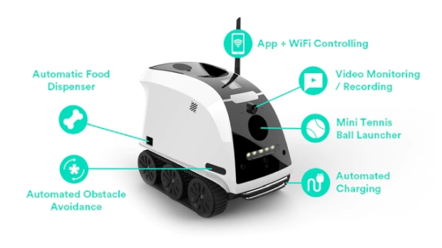 Anthouse Pet Companion Robot