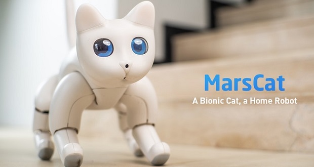 本物みたいに気まぐれなネコ型ホームロボット Marscat Ces Fabcross