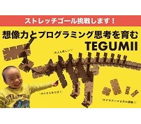 国産MDFを使用——木製組み立て知育玩具「TEGUMII」