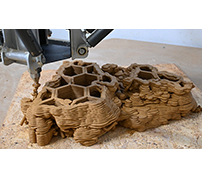 3Dプリンターでサンゴ礁を復元——複雑な形状や生物多様性に対応できる手法を開発