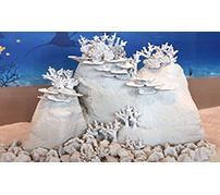 組み立て玩具のような3Dプリント製サンゴ礁で、自然の生態系を守る