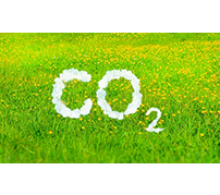 大気中の二酸化炭素の回収とメタン合成の両方を担う複機能物質の開発　英サリー大学