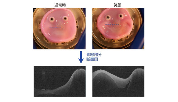 皮膚に被覆された顔型ロボットの動作