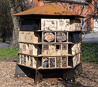 Raspberry Pi 11台で蜂の生態を調査——オスロ大学などが「蜂ホテル」を共同開発