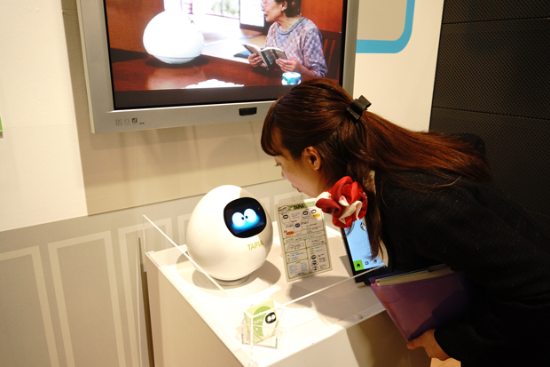 クラウド上の応答システムで日常会話をするロボット「タピア」は、会話をするほど学習・進化し仲良くなることができる（MJI）