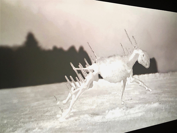 「ギャロップする南部馬」：本個展のために作られた新作、南部藩（十和田地域を含む）でかつて飼育され明治期に絶滅した南部馬を題材にした映像作品。3Dプリンターで南部馬の骨格標本を再現し、十和田の自然と共に映像に落とし込んだ。