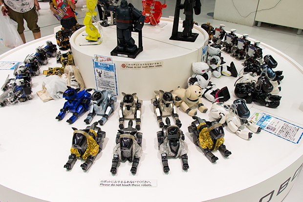 展示物の一部。AIBOなど懐かしいロボットも展示されている。